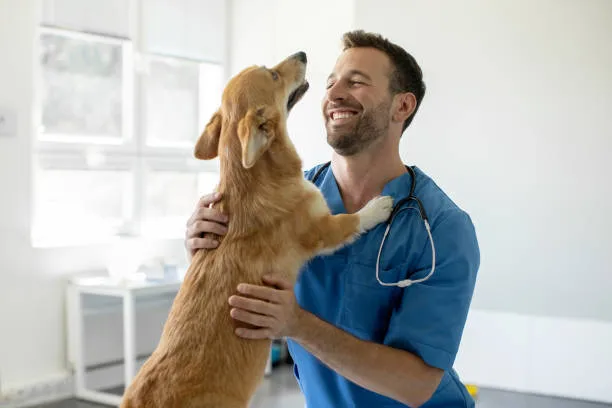 Médico veterinario de VetNovatier atendiendo a un paciente